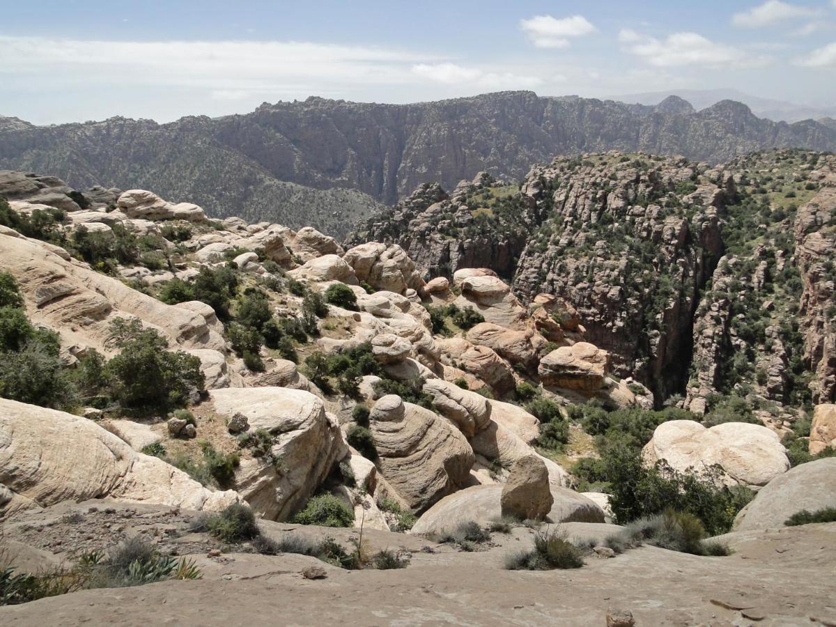 Hobbit Village دانا المظهر الخارجي الصورة