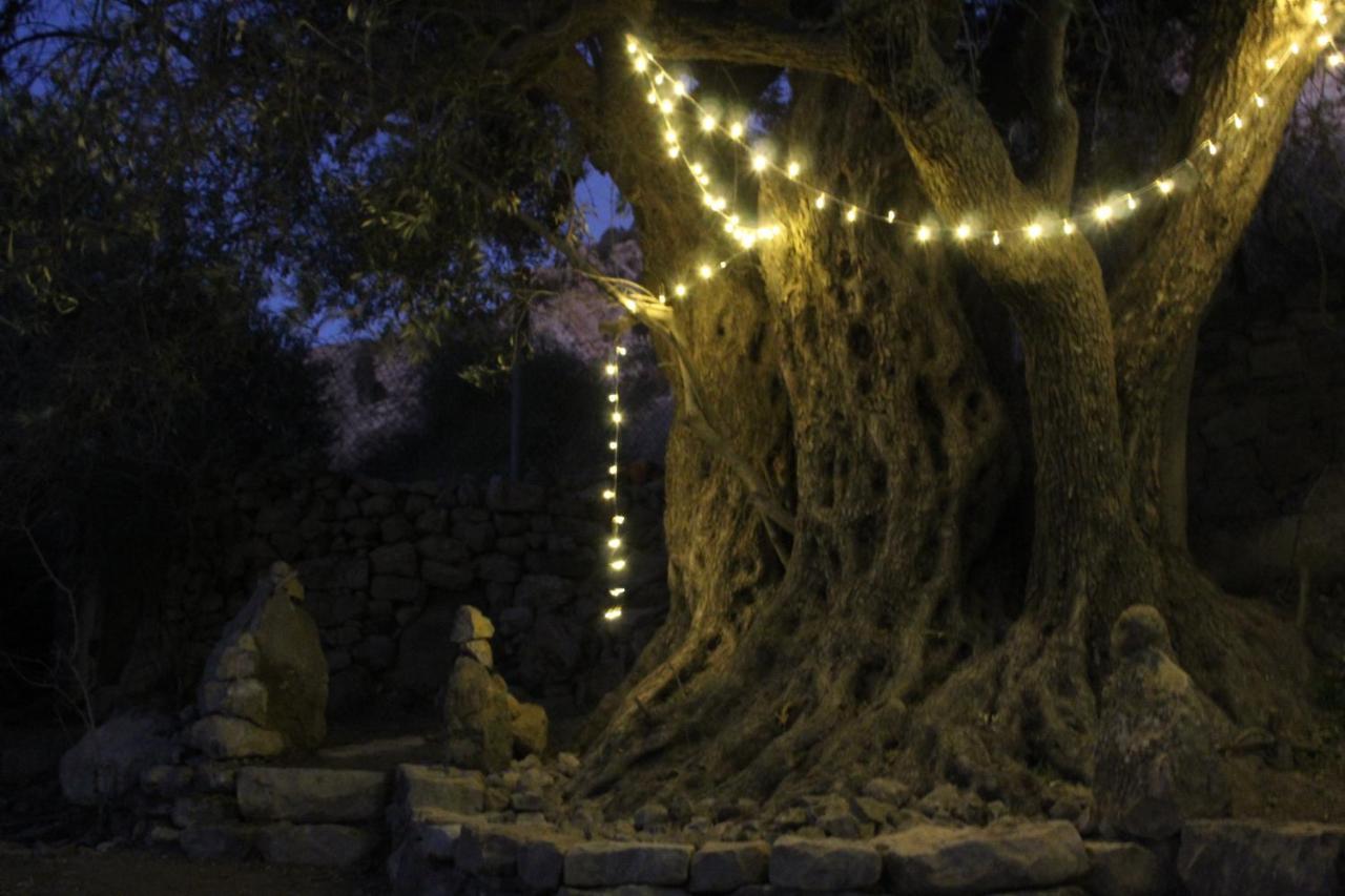 Hobbit Village دانا المظهر الخارجي الصورة
