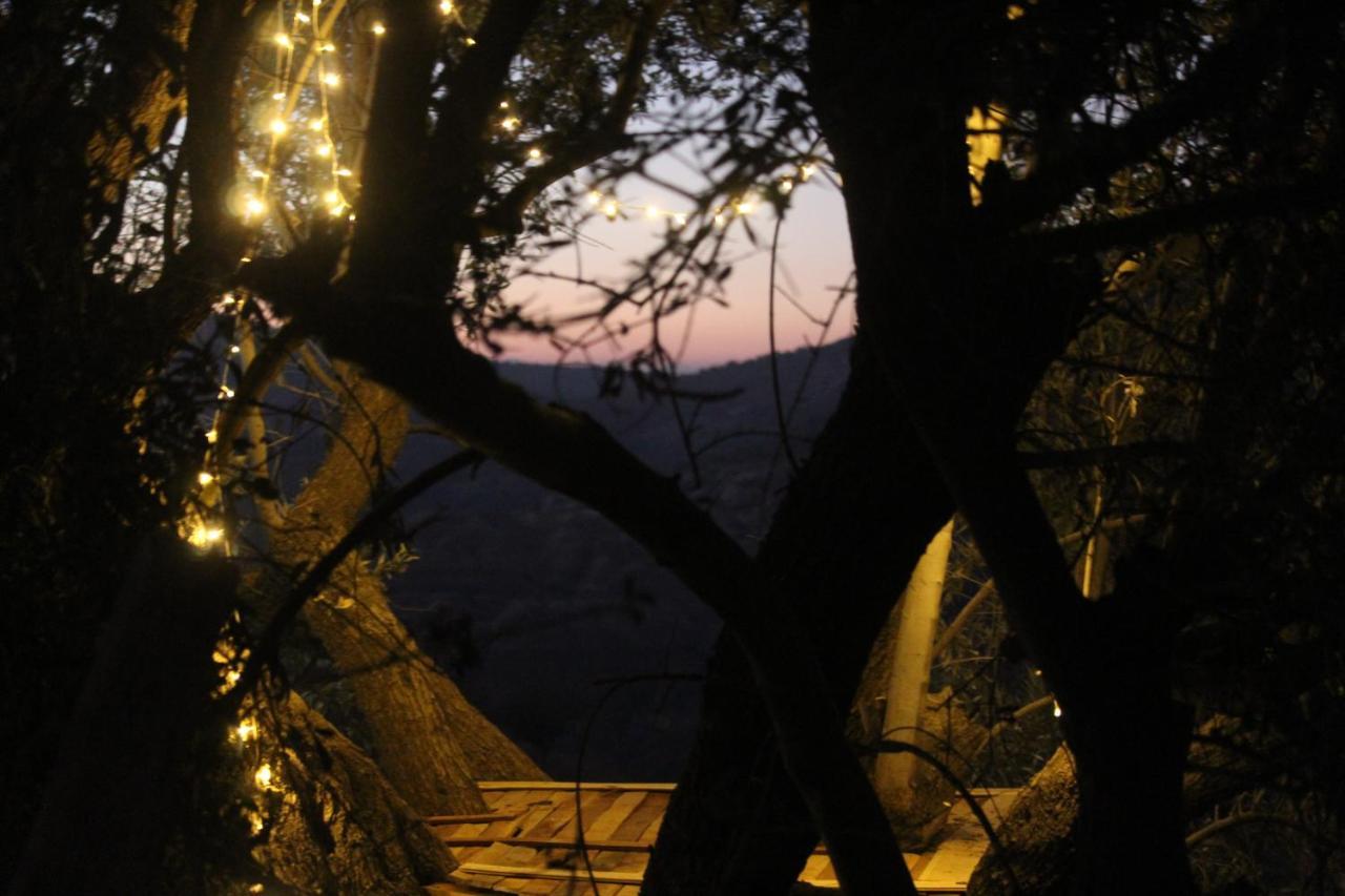 Hobbit Village دانا المظهر الخارجي الصورة
