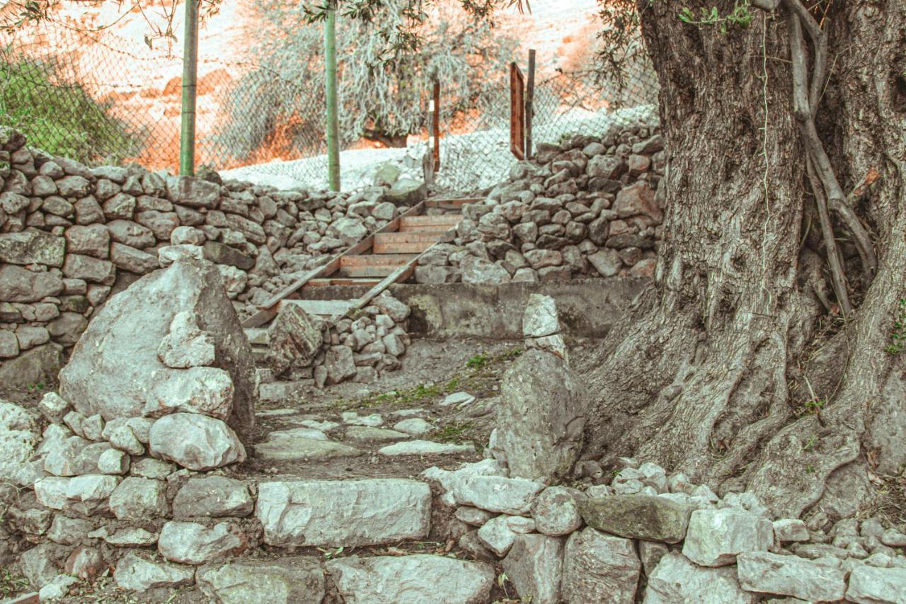Hobbit Village دانا المظهر الخارجي الصورة
