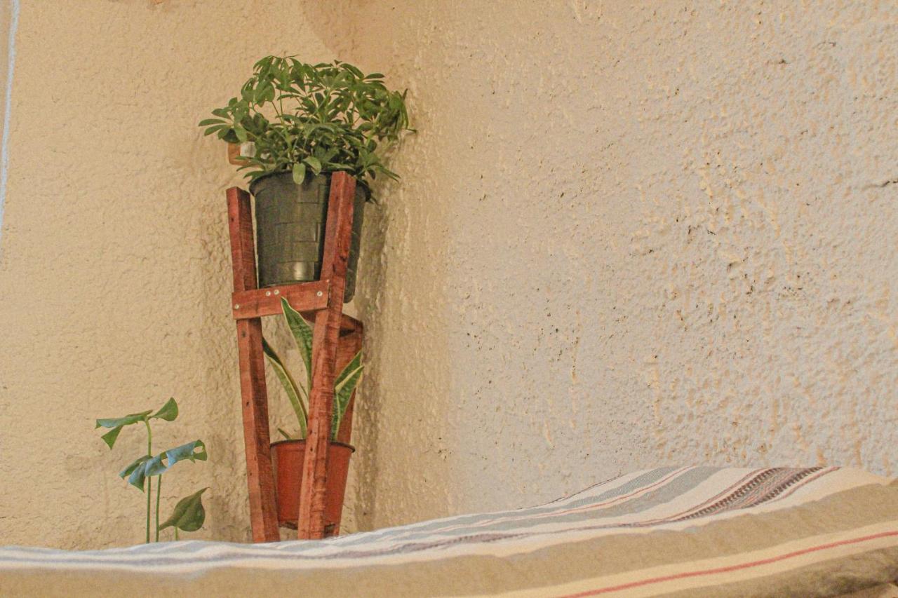 Hobbit Village دانا المظهر الخارجي الصورة