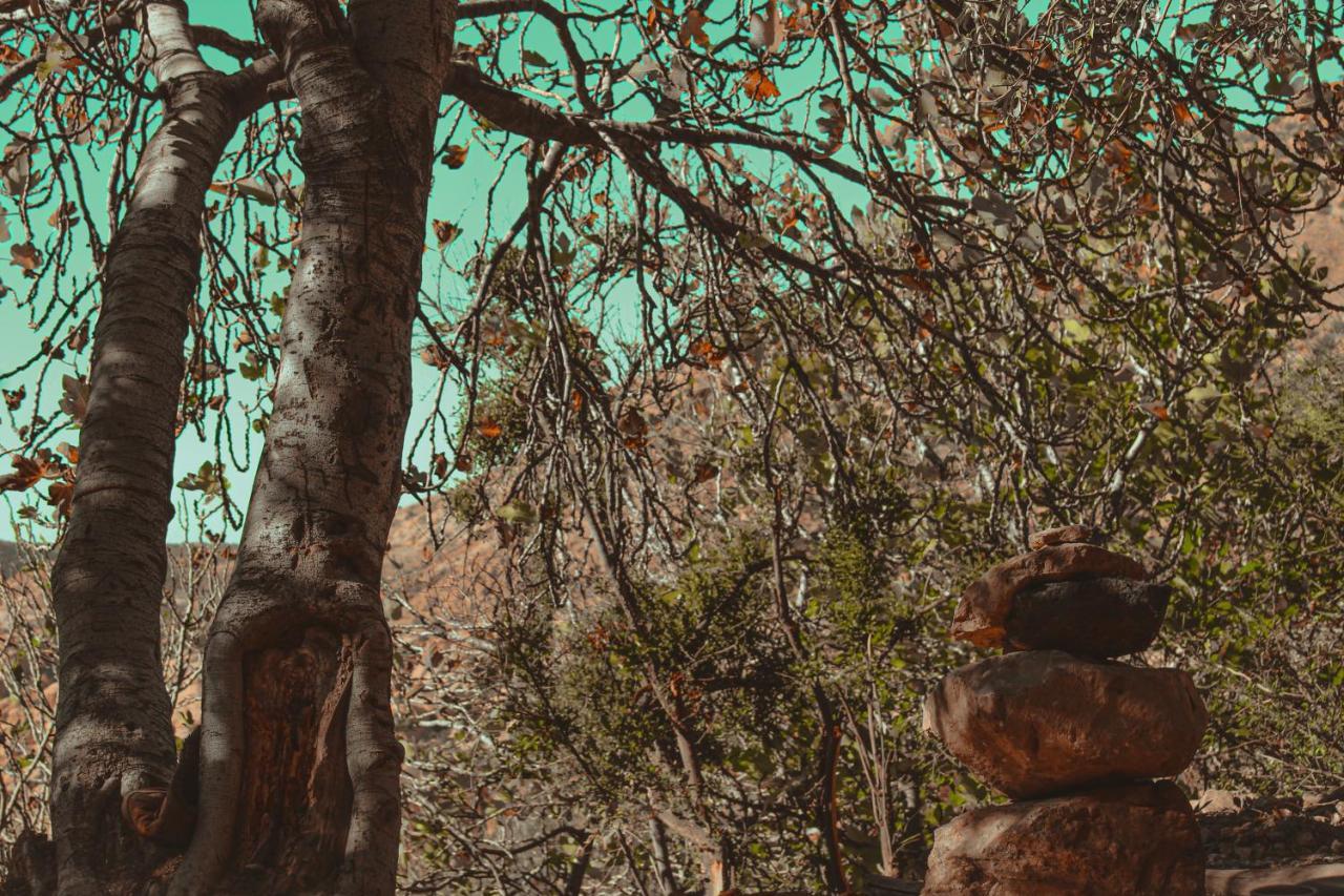 Hobbit Village دانا المظهر الخارجي الصورة