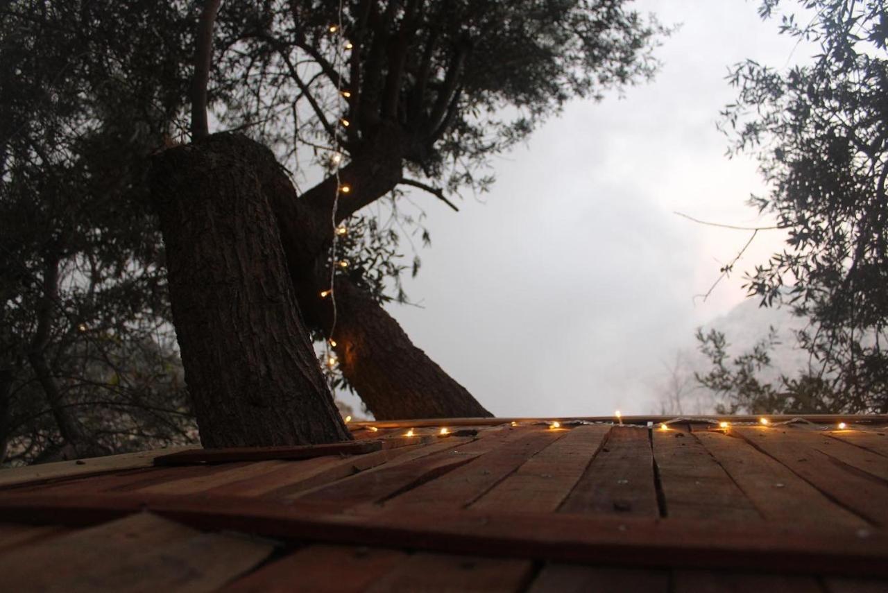 Hobbit Village دانا المظهر الخارجي الصورة