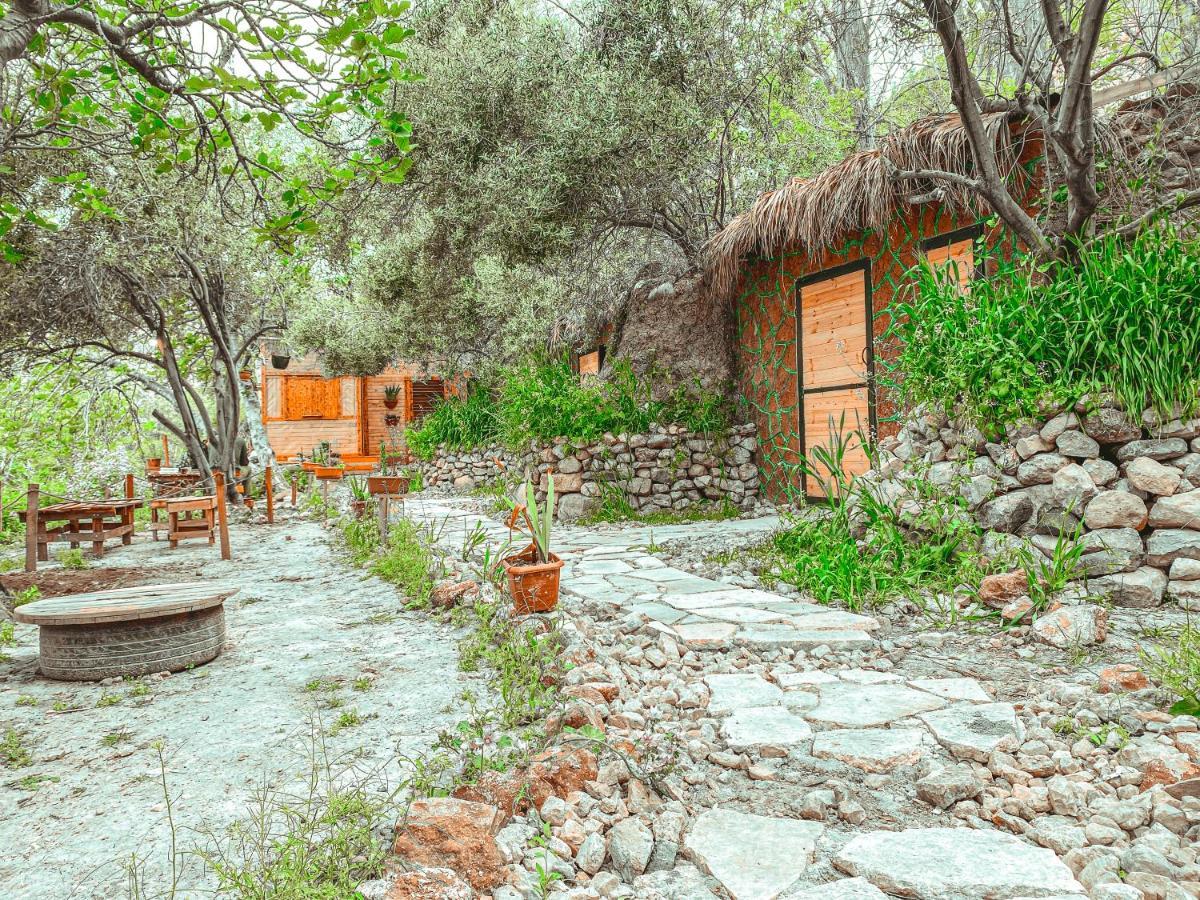 Hobbit Village دانا المظهر الخارجي الصورة
